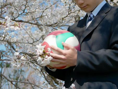 バレーボールを見つめる男子高校生 バレーボール,部活,高校生の写真素材