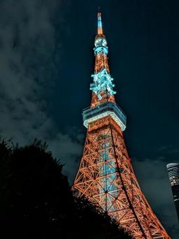 東京タワー　ライトアップの写真