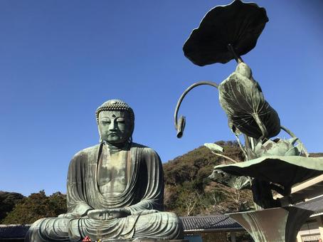 鎌倉大仏 鎌倉大仏 晴天の鎌倉大仏像,晴天,仏教の写真素材