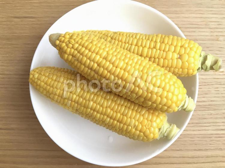 とうもろこし とうもろこし,とうきび,コーンの写真素材