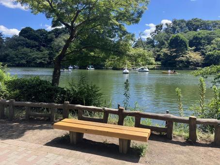 夏の井の頭公園風景 夏の井の頭公園風景の写真
