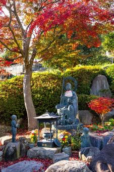 秋の香林寺⑺ 寺,香林寺,紅葉の写真素材
