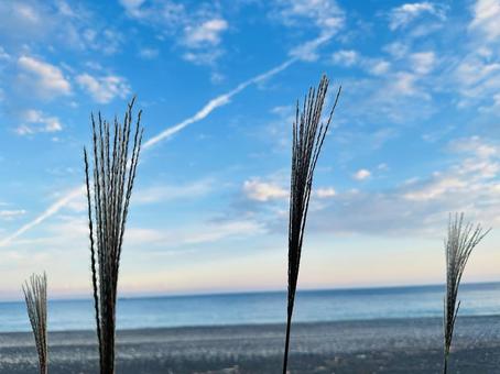 海岸　岸辺　海と空 海岸,沿岸,海の写真素材
