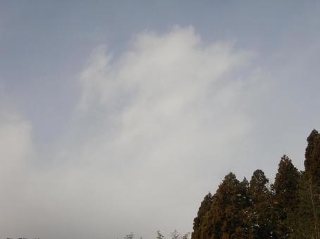 雲型1 雲型1の写真