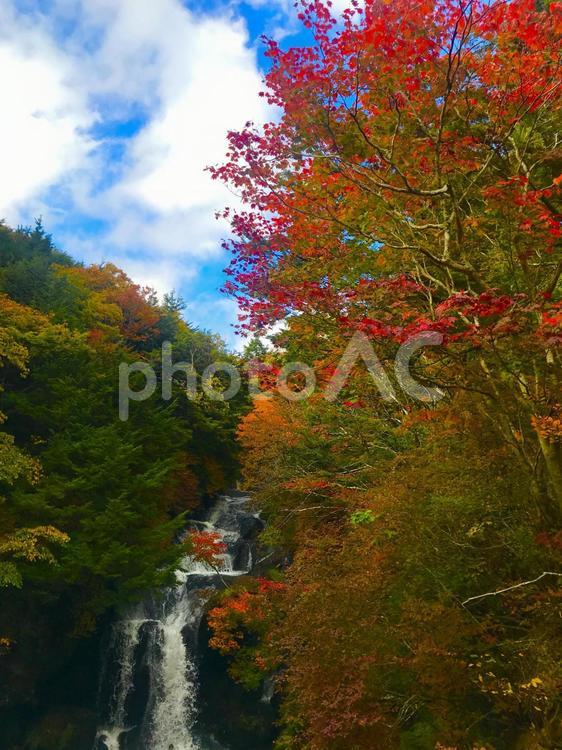 秋の風景 秋,葉,滝の写真素材