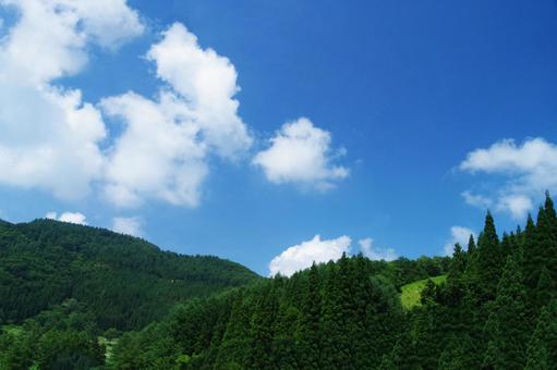 夏山 夏山の写真