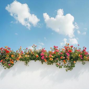 青空と花たち 青空と花たちの写真