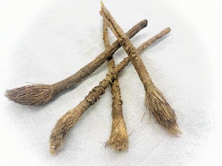 生薬・防風 弐 生薬・防風 弐 防風,ボウフウ,根の写真素材