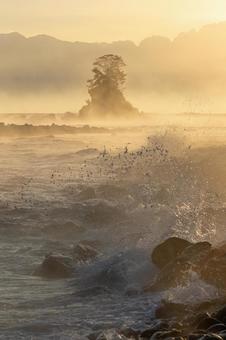 打ち寄せる波と雨晴海岸_縦 雨晴海岸,波しぶき,幻想的の写真素材