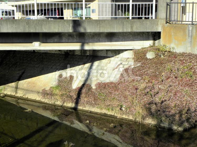 川　橋のした 川,橋の下の写真素材