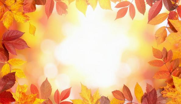 秋の紅葉フレーム背景 秋の紅葉フレーム背景の写真