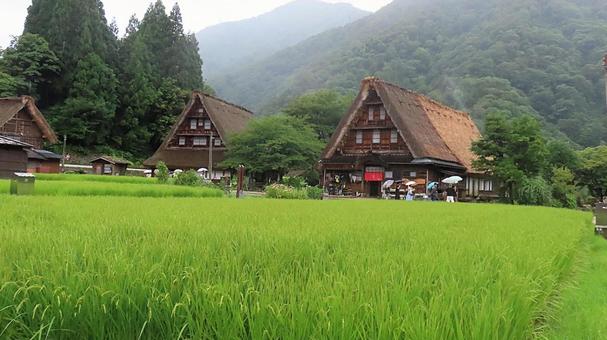 世界遺産 相倉合掌造り集落 世界遺産 相倉合掌造り集落の写真