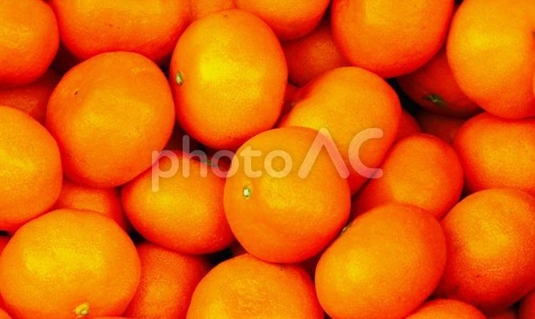 たくさんのみかん みかん,蜜柑,冬の写真素材