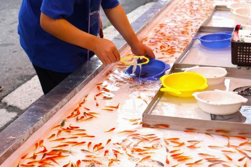 お祭り屋台の金魚すくい2 夏祭り露店 お祭り屋台の金魚すくい2 夏祭り露店 祭り,屋台,金魚すくいの写真素材