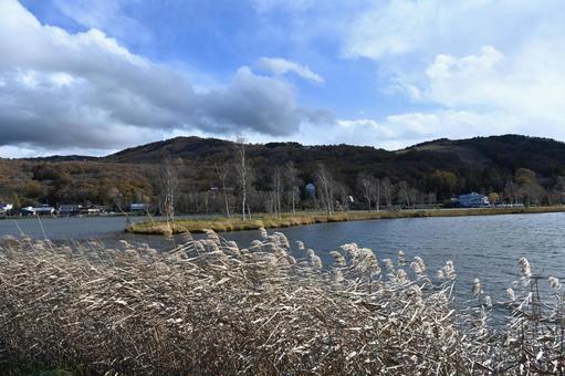 長野県の白樺湖と真ん中にある島の秋の風景 長野県,秋,紅葉の写真素材