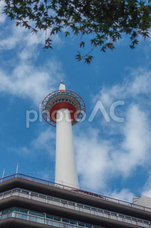 下から見上げた京都タワーと青空 京都タワー,京都,ランドマークの写真素材