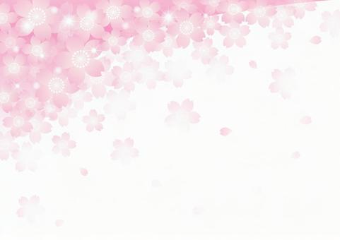 Sakura imagen 4, JPG Sakura imagen 4, JPG