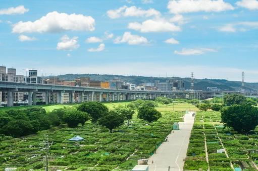 台湾・台北郊外の街並み 台湾・台北郊外の街並みの写真