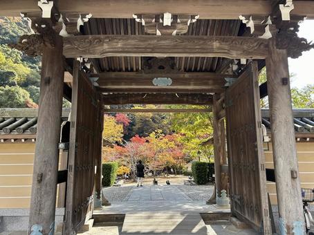 瀧安寺山門から覗く紅葉　（箕面市） 紅葉,箕面国定公園,瀧安寺の写真素材