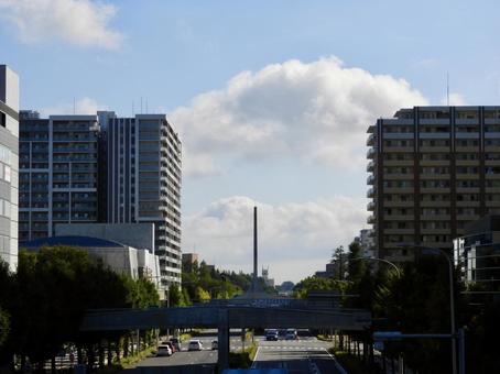 つくば市の茨城県道237号花室牛久線4 つくば市の茨城県道237号花室牛久線4 土浦学園線,つくば市,筑波研究学園都市の写真素材