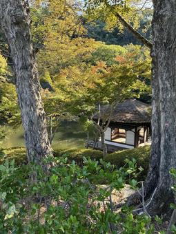 西の丸庭園　紅葉渓庭園　鳶魚閣 西の丸庭園,紅葉渓庭園,鳶魚閣の写真素材