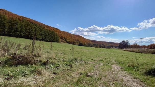 紅葉 紅葉 山,景色,風景の写真素材
