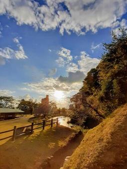 夕焼けと公園の写真