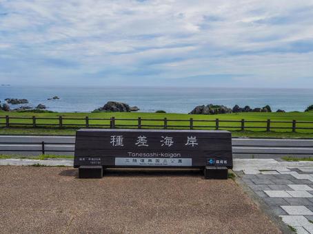 【青森県】八戸市・種差海岸 【青森県】八戸市・種差海岸 種差海岸,芝生,八戸市の写真素材