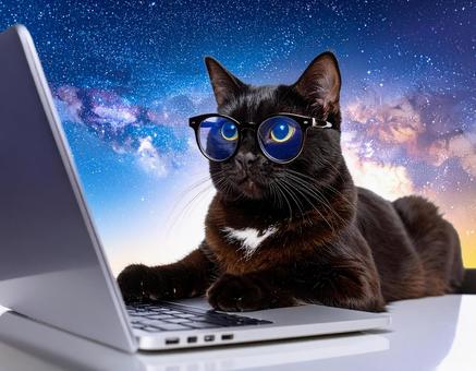 宇宙で仕事をする猫の写真