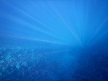 海中写真 海中写真の写真