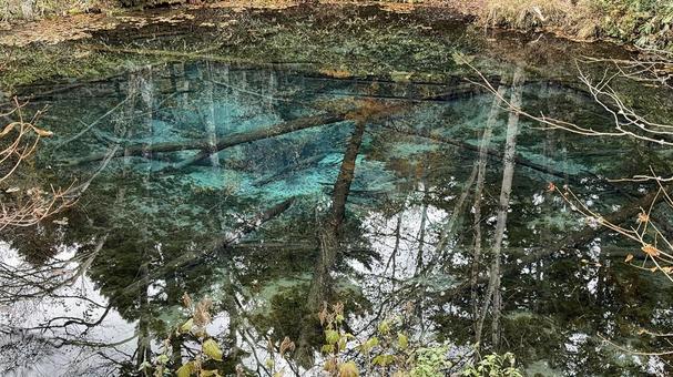 神の子池 北海道,神の子池,池の写真素材