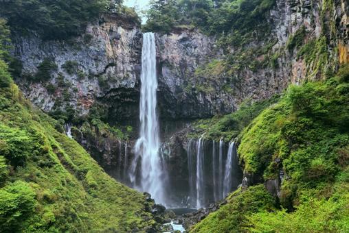 滝と自然 滝と自然 滝,自然,植物の写真素材