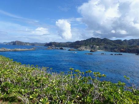 小笠原の南島の景色 小笠原,南島,小笠原南島の写真素材