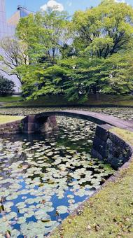小石川後楽園 小石川後楽園の写真