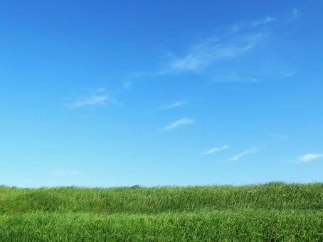 Photo, grassland, blue sky, origin, 