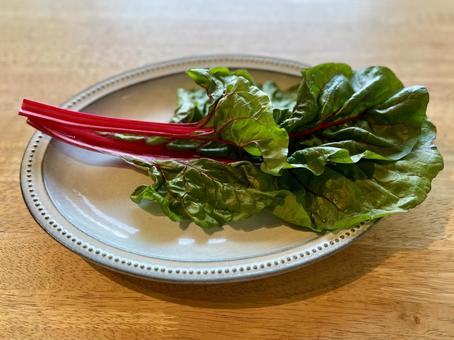 Photo, swiss chard, vegetables, keep grass, 