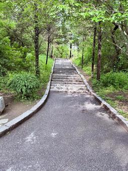 心が洗われる道 錦江山公園,中国,丹東の写真素材