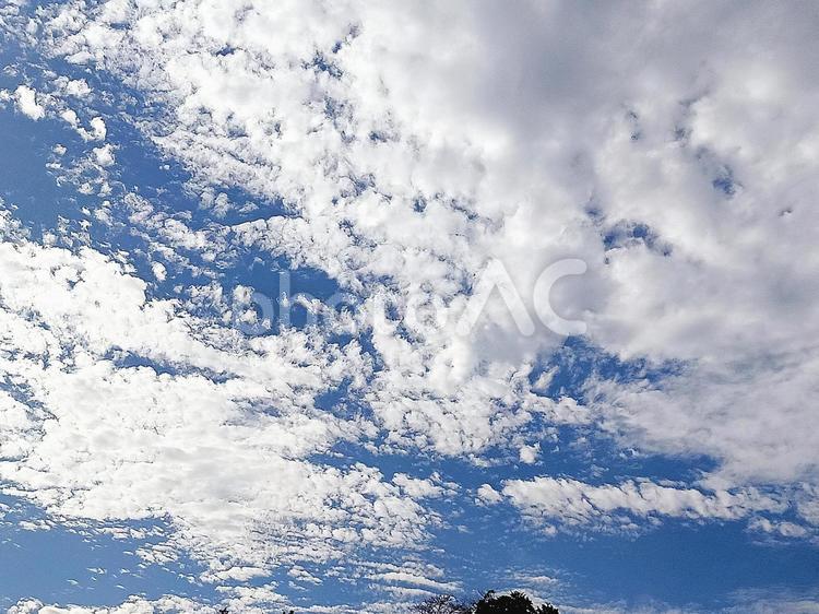 秋のある日 秋,雲,癒しの写真素材
