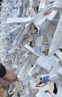 和の風景 おみくじ,神社,寺の写真素材