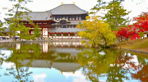 鏡池の水面に映る大仏殿と紅葉　　 東大寺,大仏殿,鏡池の写真素材