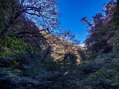 竜化の滝から帰り道の空 秋,紅葉,ハイキングの写真素材