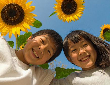 ひまわりと青空と子供たち ひまわりと青空と子供たちの写真