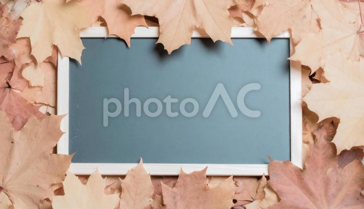落ち葉に包まれた黒板　メッセージボード 落ち葉,紅葉,黒板の写真素材