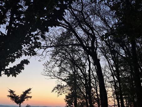 Photo, setting sun, sunset, sun, 