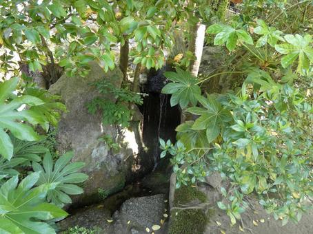 詩仙堂詩石庭の写真