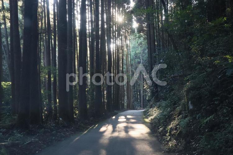 田舎の風景 田舎,山,森の写真素材