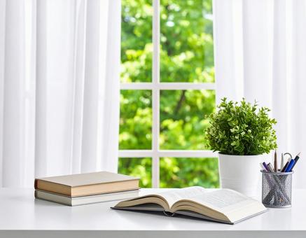 窓辺で読書の写真