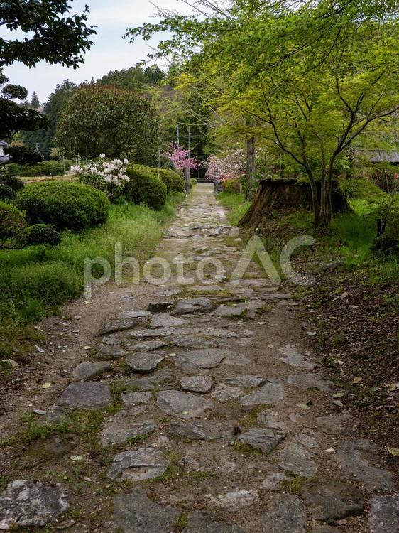 高蔵寺の風景⑵ 寺,高蔵寺,角田市の写真素材