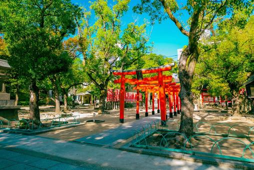 【兵庫】湊川神社 兵庫,神戸,湊川神社の写真素材