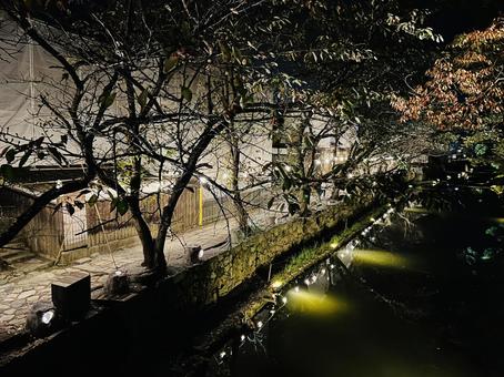 ライトアップの写真